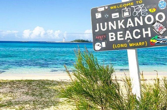 Sightseeing Island Tours Nassau Bahamas Paradise Island - Comfort perks that make the ride feel like part of the trip