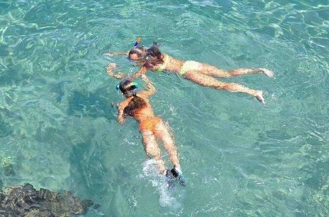Small-Group Snorkeling Experience at Sea Garden - Price and value at about $128 per person