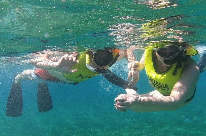 Small-Group Snorkeling Experience at Sea Garden - Who should book this Sea Garden snorkeling tour?