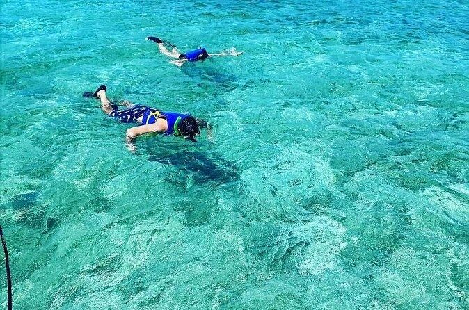 Small-Group Snorkeling Experience at Sea Garden - Sea Garden Conservation snorkeling: reefs, fish, and turtle odds