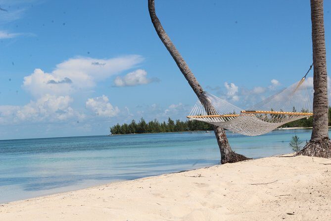 Snorkel/Swim with the Turtles Experience - Freeport’s Turtle Snorkel, built for people who want both reef and real culture