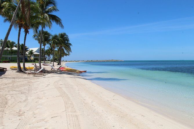 Snorkel/Swim with the Turtles Experience - Price and value: is $250 per person fair for what you get?