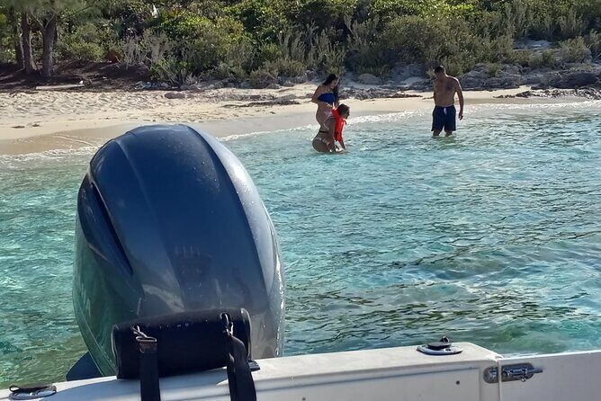 Snorkeling, Swim with Turtles & Beach Day - The Reef Isn’t Just Pretty: It’s Part of the Day’s Value