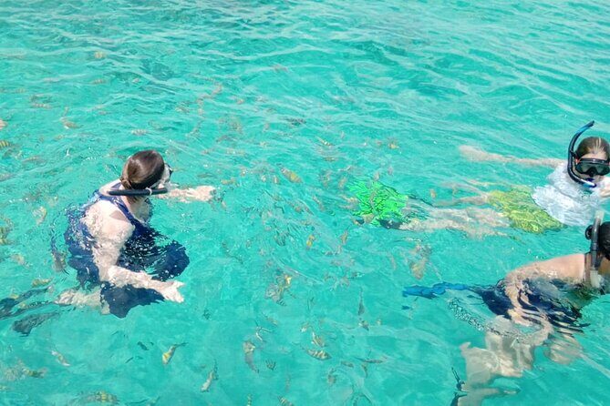 Snorkeling, Swim with Turtles & Beach Day - Beach Time on New Providence: How to Use Your Relaxation Window