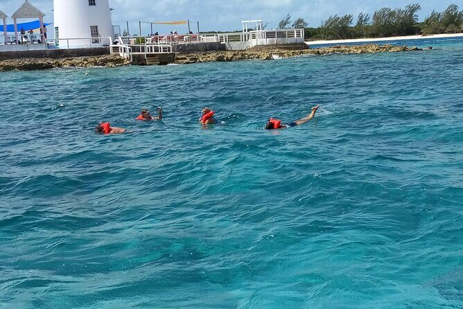 Snorkeling, Swim with Turtles & Beach Day - Timing, Meeting Point, and Handling a Late Start