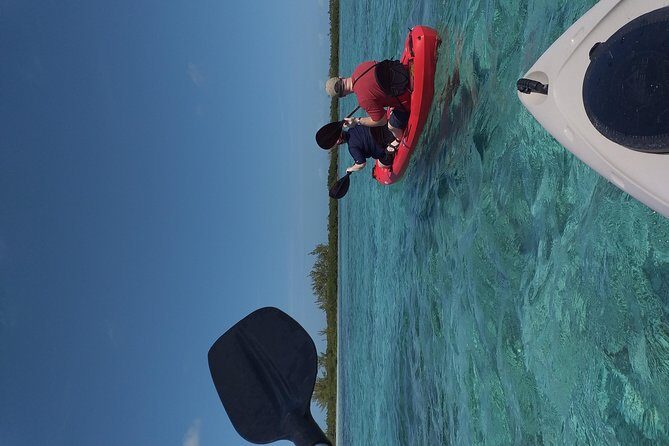 Sweetings Cay Mangrove Kayaking and Turtles - Price and logistics: what $90 really turns into