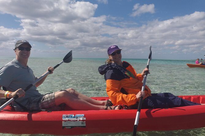 Sweetings Cay Mangrove Kayaking and Turtles - When conditions shift: kayaking vs. motor-boat time