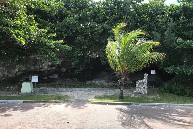 Swim with the Pigs and Explore Caves in Nassau - Key highlights to know before you go