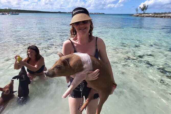 Swim with the Pigs and Explore Caves in Nassau - Atholl Island: Pig Feeding, Touch, and Swim (Plus Listed Water Fun)