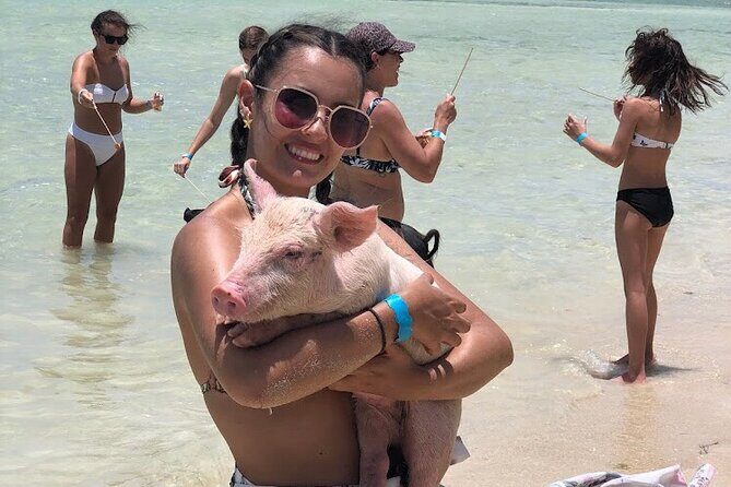 Swim with the Pigs and Explore Caves in Nassau - Adelaide Village Beach Time: Lunch Included, Plus Volleyball and Paddleboarding