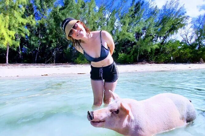 Swim with the Pigs and Explore Caves in Nassau - What to Watch Out For: Safety, Cleanliness, and Activity Match