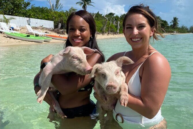 Swim with the Pigs and Explore Caves in Nassau - Price and Time: Is $299 Worth It?