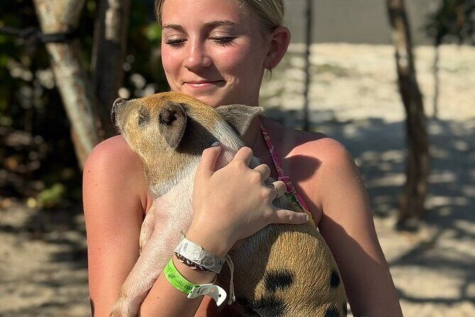 Swim with the Pigs Freeport @Creative Eco Adventures - Price and Value for $71.50: What You’re Really Paying For