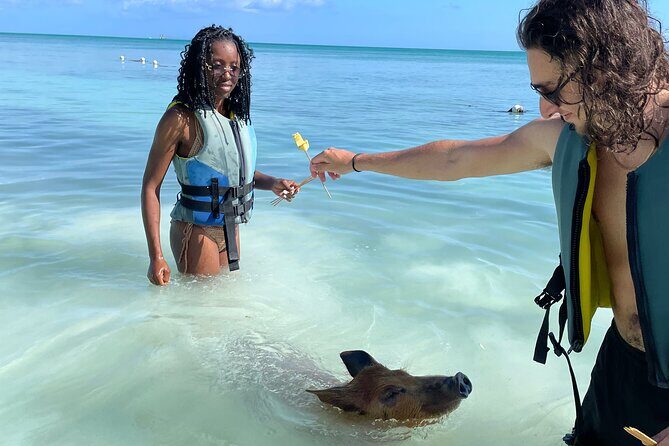 Swim with the Pigs Freeport @Creative Eco Adventures - Who This Pig Encounter Suits Best (and Who Should Consider a Skip)