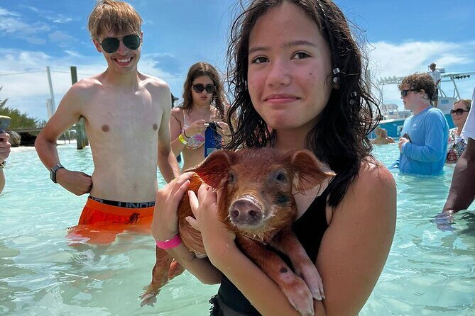 Swim with the Pigs Safari in Bahamas (2hrs) - What you get for the price: value beyond the pig headline
