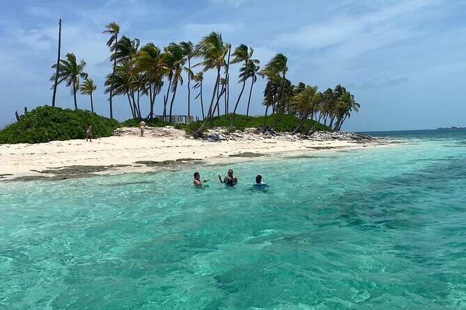 Swim with the Pigs Safari in Bahamas (2hrs) - Best for cruise passengers, families, and anyone who wants variety fast