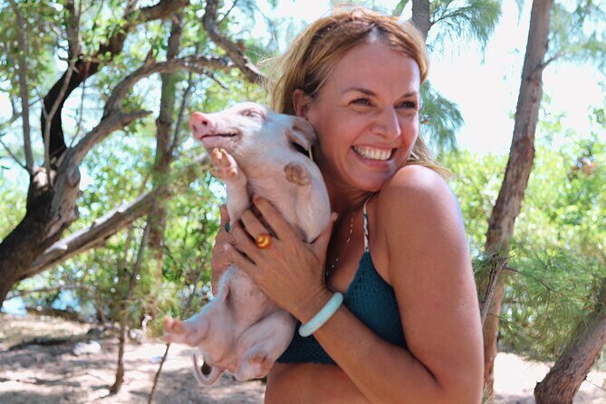 Swimming Pigs & ATV Tour - Starting at Cable Beach and running like a plan