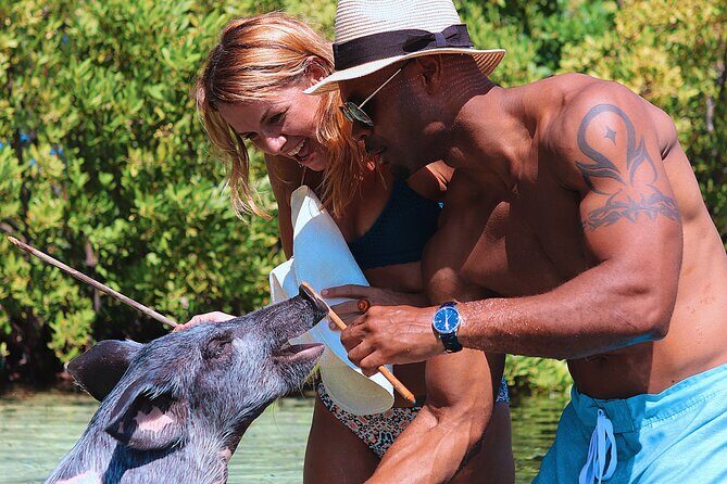 Swimming Pigs & ATV Tour - The beach block: hammocks, games, paddle power, and the pigs