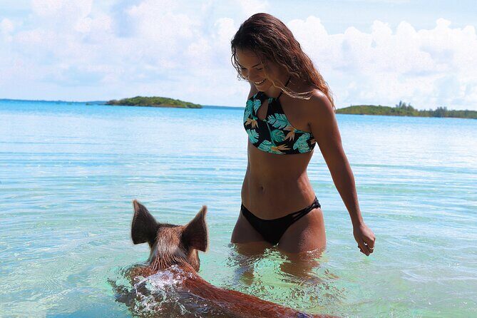 Swimming Pigs & ATV Tour - Guides make or break small-group tours