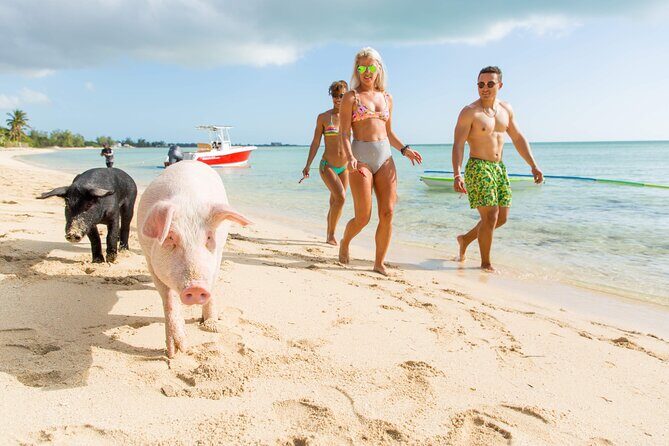 Swimming Pigs & ATV Tour - Stop 1: The Caves of New Providence—bats, pirates, and close-up atmosphere