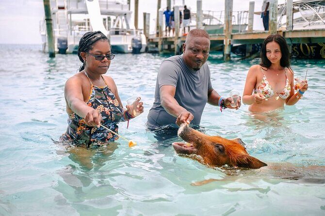 Swimming Pigs Of Rose Island & Beach Day - Group Tour - Pig Time, Water Time, and Play Time: What You’ll Do Once You’re There