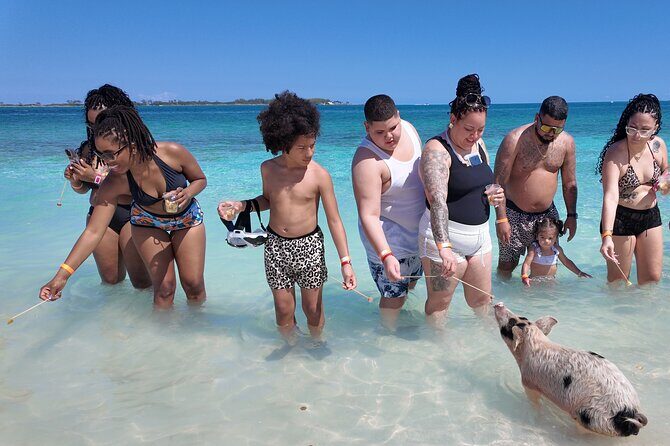Swimming Pigs, Snorkeling and Beach Tour in Nassau Bahamas - Why this Nassau swimming pigs + snorkeling tour makes sense
