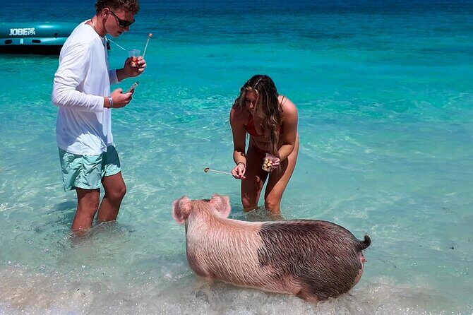 Swimming Pigs, Snorkeling and Beach Tour in Nassau Bahamas - Paradise Island harbor cruise: Atlantis views without the hassle