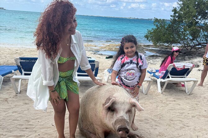Swimming Pigs, Turtles & Reef Snorkel in Nassau-Champion Tours - Comfort, safety, and the value of doing this right