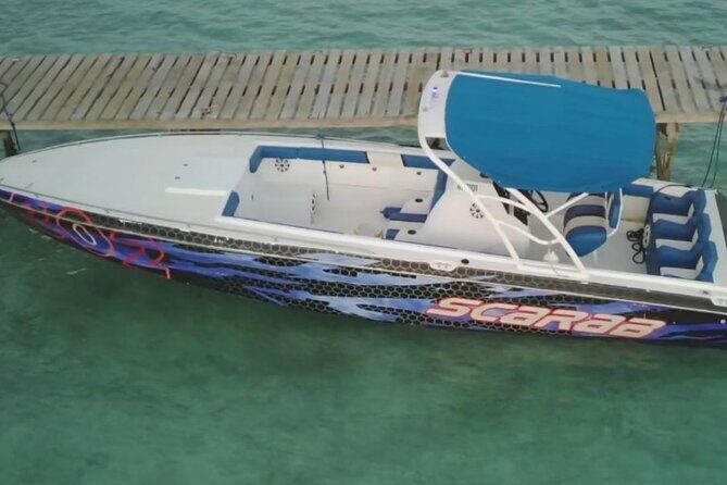 Swimming Pigs, Turtles & Reef Snorkel in Nassau-Champion Tours - Optional add-ons: jetski and a photographer with drone footage