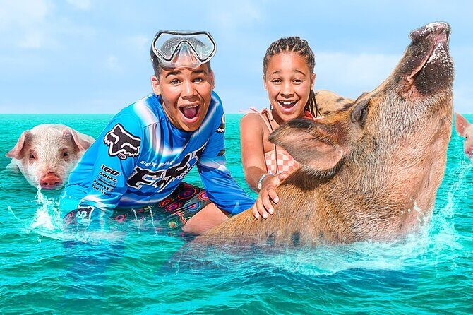 Swimming Pigs, Turtles & Reef Snorkel in Nassau-Champion Tours - Getting to the tour and settling in at the marina