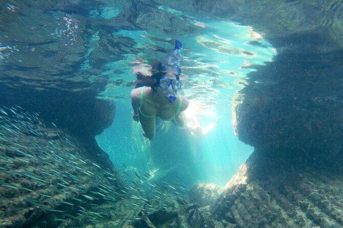 Top 4 Snorkeling Adventures in Bimini - Stingray Island: feeding that works best when you stay calm